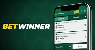Comprehensive BetWinner Review Insights and Features Comprehensive BetWinner Review Insights and Features