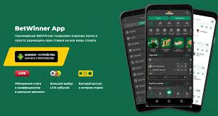 Explore the Exciting World of BetWinner Casino -821523855