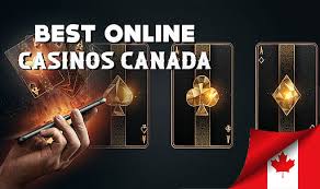 What is the Best Online Experience A Comprehensive Guide -284581995